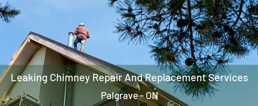 Leaking Chimney Repair And Replacement Services Palgrave - ON
