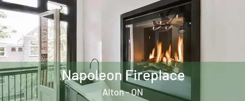  Napoleon Fireplace Alton - ON