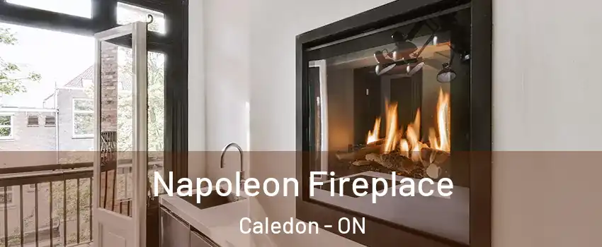  Napoleon Fireplace Caledon - ON