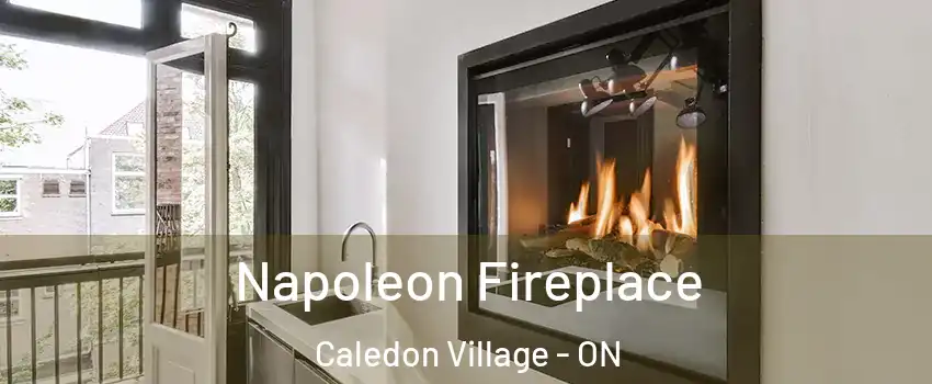  Napoleon Fireplace Caledon Village - ON