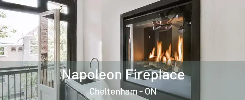  Napoleon Fireplace Cheltenham - ON