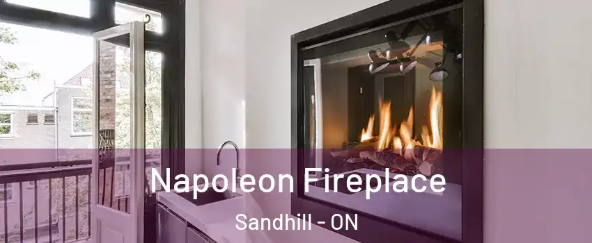  Napoleon Fireplace Sandhill - ON