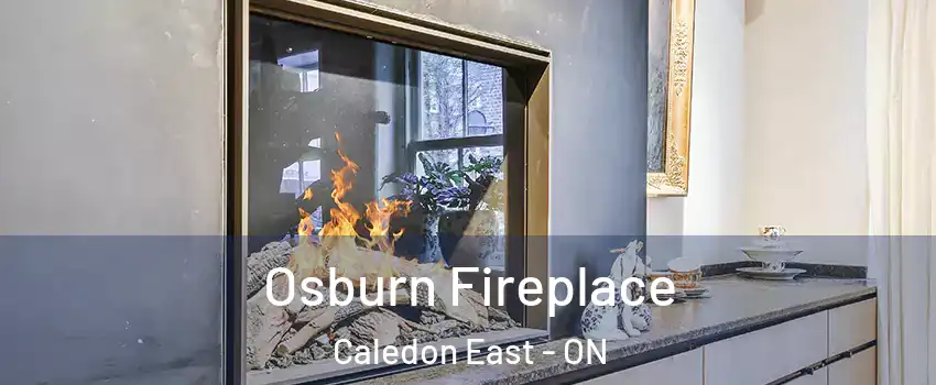  Osburn Fireplace Caledon East - ON
