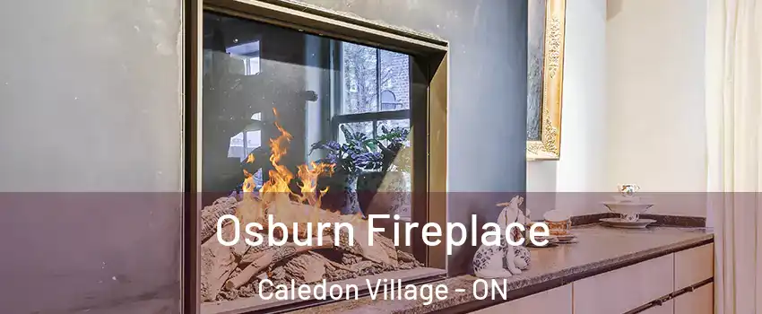  Osburn Fireplace Caledon Village - ON