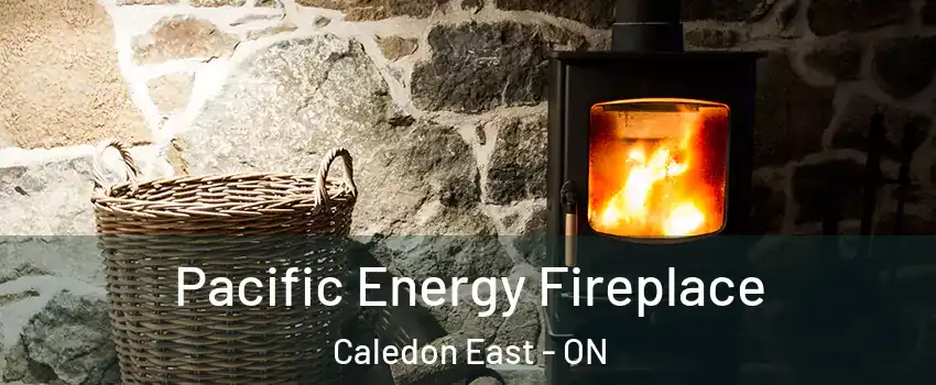  Pacific Energy Fireplace Caledon East - ON