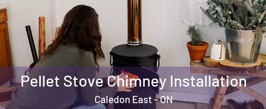 Pellet Stove Chimney Installation Caledon East - ON