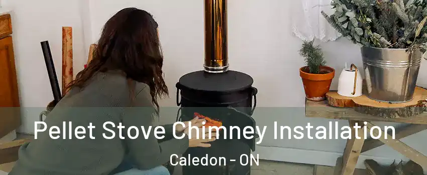  Pellet Stove Chimney Installation Caledon - ON