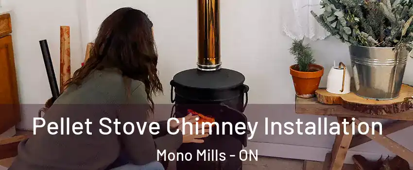 Pellet Stove Chimney Installation Mono Mills - ON