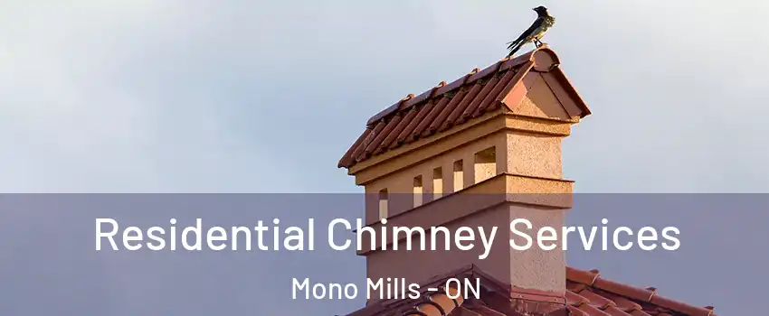  Residential Chimney Services Mono Mills - ON