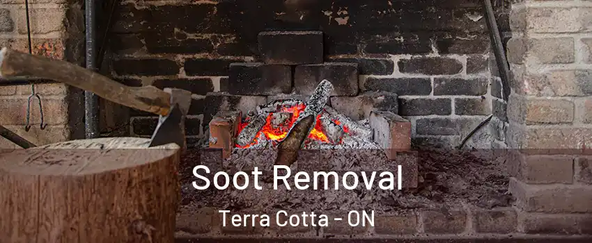 Soot Removal Terra Cotta - ON