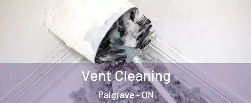 Vent Cleaning Palgrave - ON