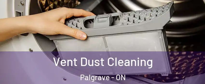  Vent Dust Cleaning Palgrave - ON