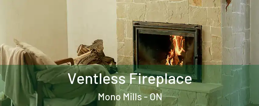  Ventless Fireplace Mono Mills - ON