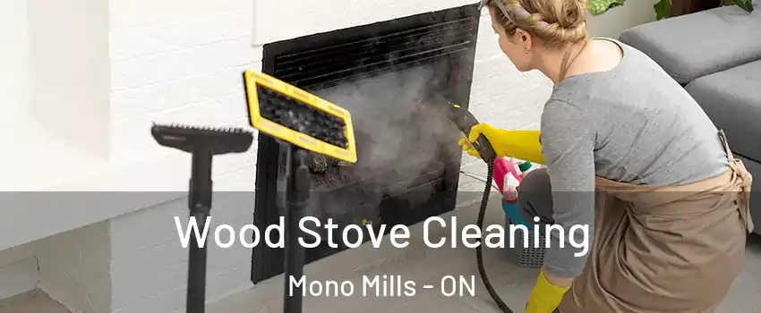  Wood Stove Cleaning Mono Mills - ON