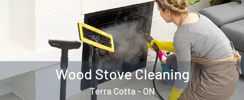  Wood Stove Cleaning Terra Cotta - ON